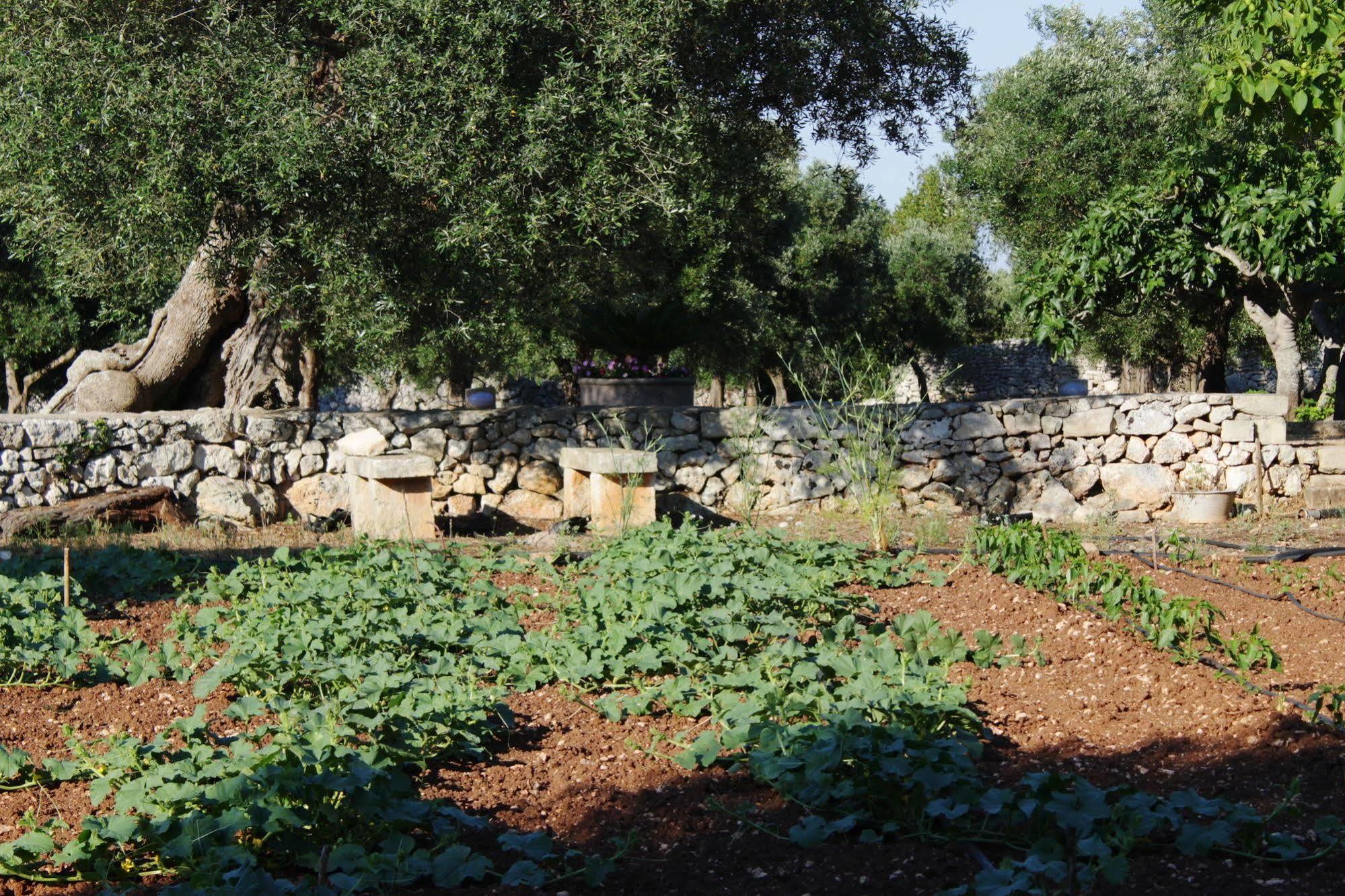 Tenuta Pigliano Hotel Bagnolo del Salento Eksteriør billede