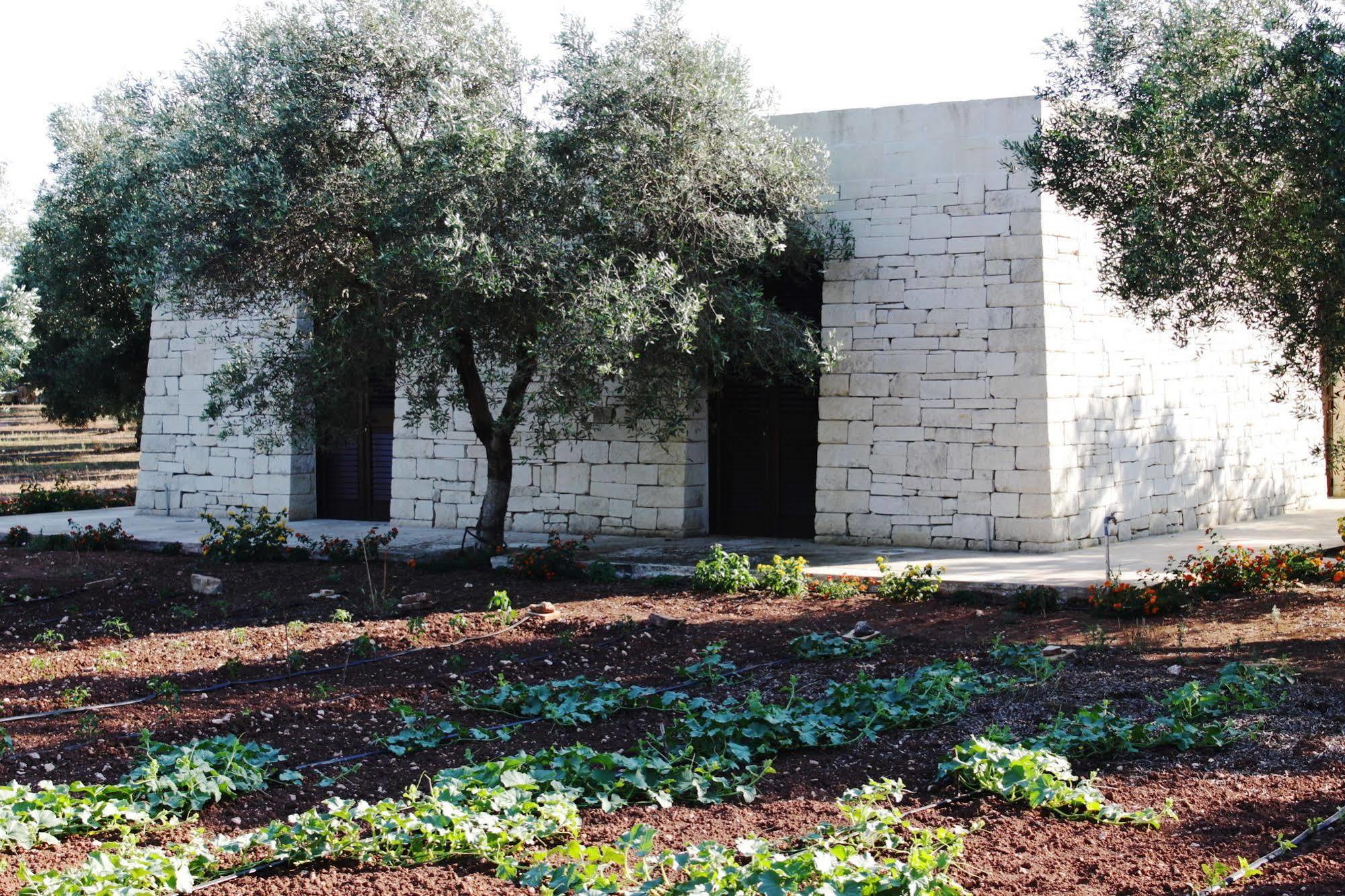 Tenuta Pigliano Hotel Bagnolo del Salento Eksteriør billede
